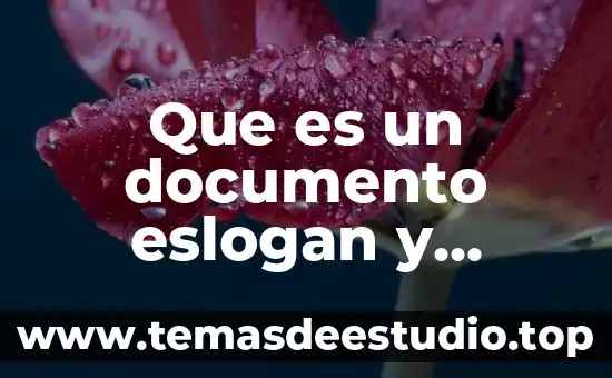 Qué es un documento as is 5 Que es un documento eslogan y ejemplos