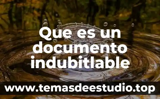 Que es un documento con firma digital 7 Que es un documento indubitlable