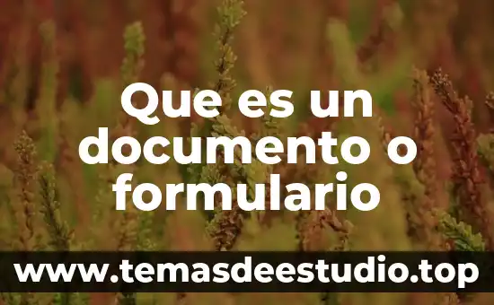 Que es un documento o formulario