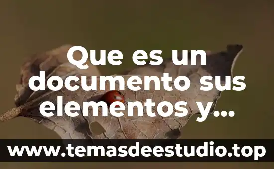 Qué es un documento as is 8 Que es un documento sus elementos y caracteristicas
