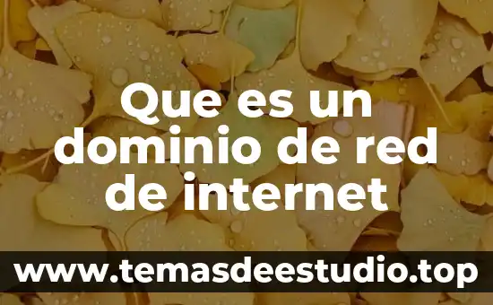 Que es imperactibilidad en concepto de internet 6 Que es un dominio de red de internet