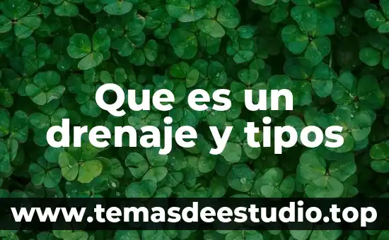 Que es un pronostico y sus tipos 8 Que es un drenaje y tipos
