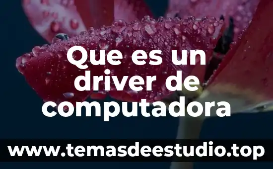 Problemas para conectar one driver que es eso 8 Que es un driver de computadora