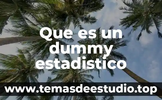 Que es un dummy estadistico