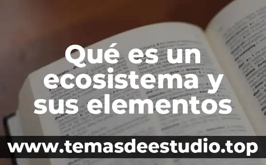 Qué es ecosistema de agua dulce 3 Qué es un ecosistema y sus elementos