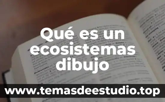 Qué es un ajuste en un dibujo de definición 6 Qué es un ecosistemas dibujo