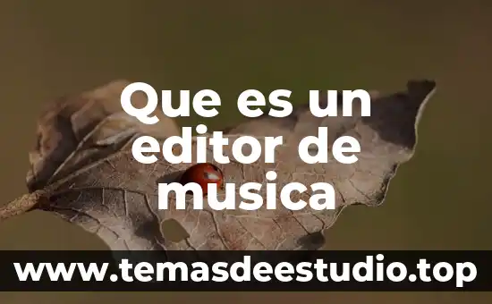Qué es el ulsimur en la música 7 Que es un editor de musica