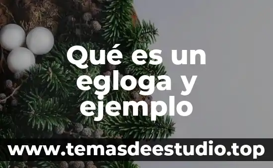 Que es herencia en programacion ejemplo 7 Qué es un egloga y ejemplo