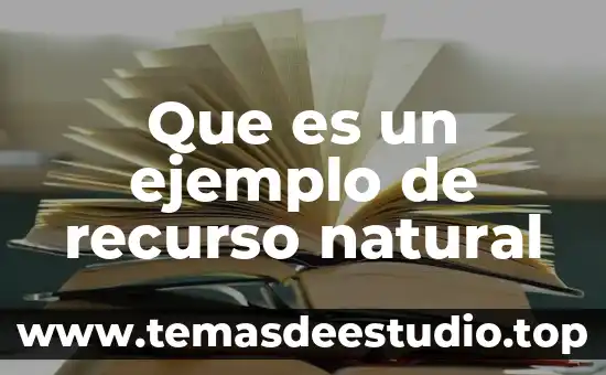 Qué es argumento deductivo analógico deductivo con un ejemplo 5 Que es un ejemplo de recurso natural