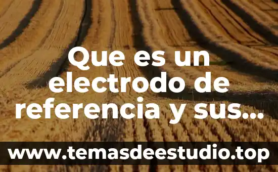 Que es el argumento de un plano 2d 6 Que es un electrodo de referencia y sus caracteristicas