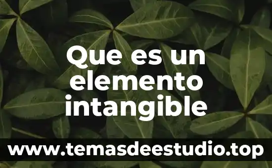 Que es un recurso intangible 3 Que es un elemento intangible