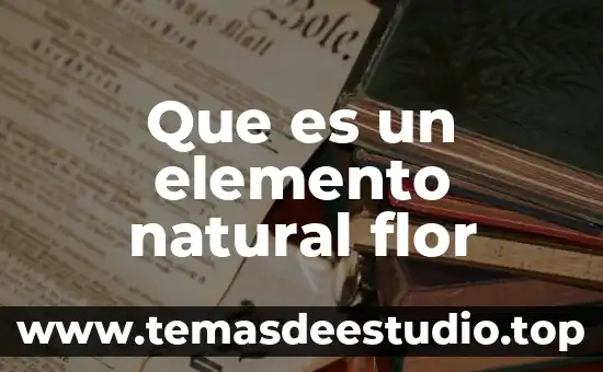 Santuario natural que es 7 Que es un elemento natural flor