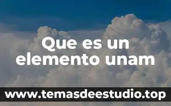 Que es una conclusión unam 6 Que es un elemento unam