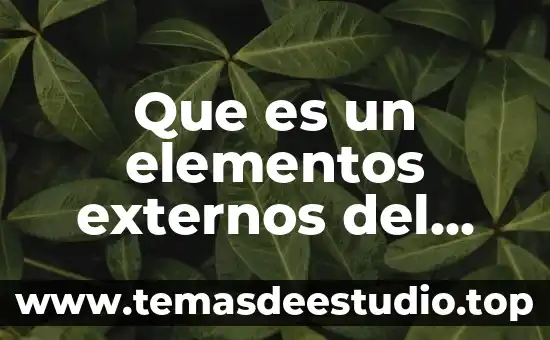 Que es un elementos externos del hardware