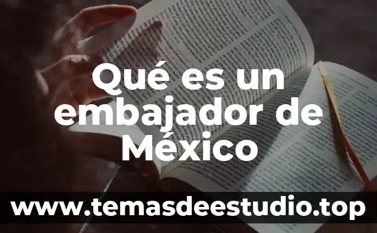 Que es una sociedad en comandita por acciones en mexico 5 Qué es un embajador de México