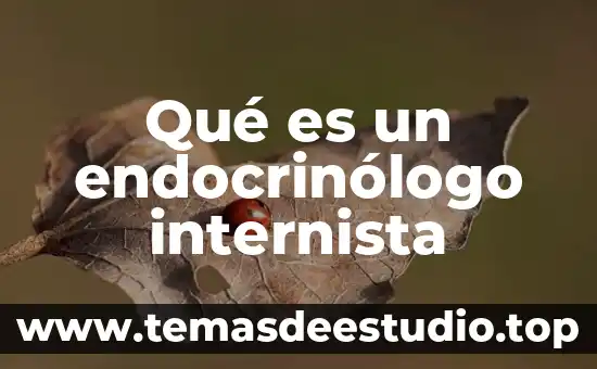 Que es ser chef 7 Qué es un endocrinólogo internista