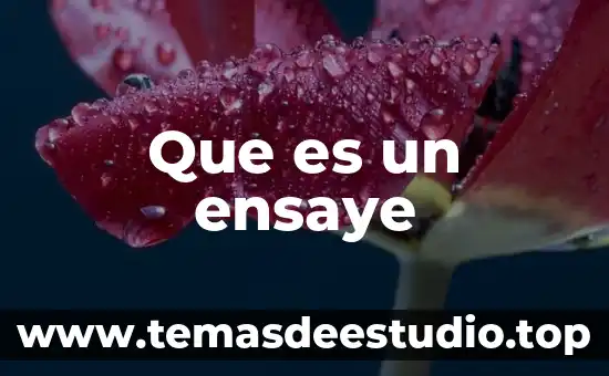 Qué es un proyecto matemático 8 Que es un ensaye