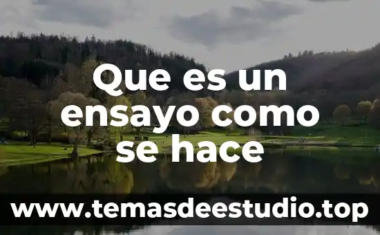 Que es un ensayo como se hace