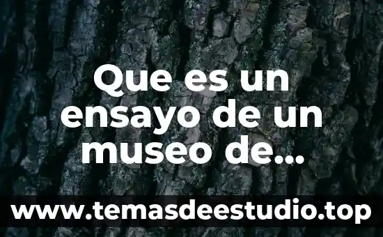 Que es la tesis en un ensayo 7 Que es un ensayo de un museo de antropologia