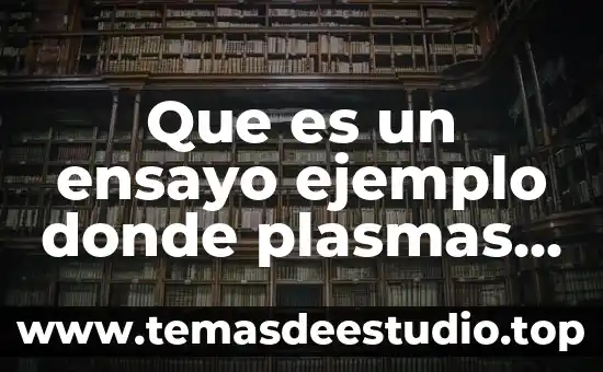Que es la cultura empresarial y como se crea 6 Que es un ensayo ejemplo donde plasmas ideas principales