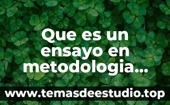 Que es la planificación en metodologia dela investigacion 3 Que es un ensayo en metodologia dela investigacion
