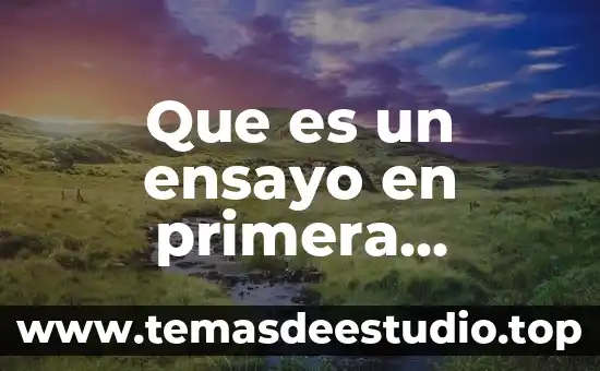Que es un ensayo en primera persona