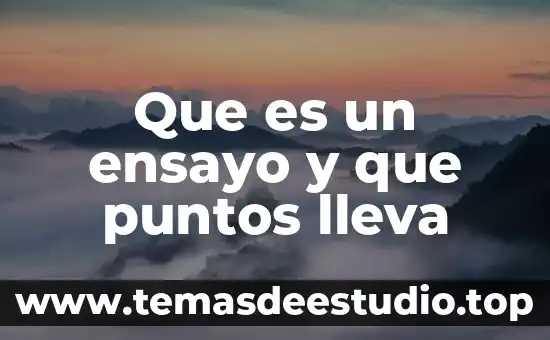 Que es un ensayo y que puntos lleva