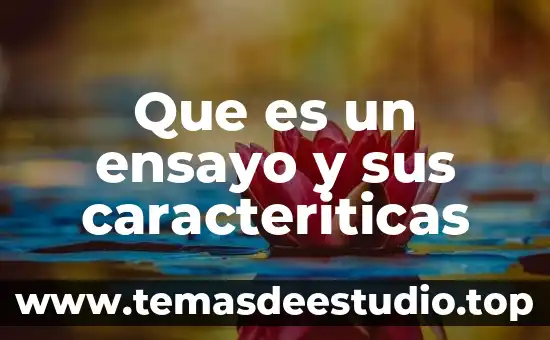 Que es un ensayo y sus caracteriticas