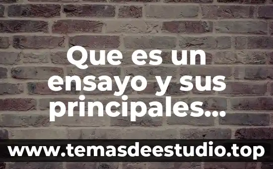 Macroeconomia que es cuentas principales y sus definiciones 4 Que es un ensayo y sus principales caracteristicas