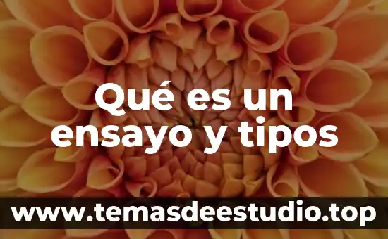 Que es la tesis en un ensayo 4 Qué es un ensayo y tipos
