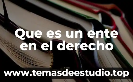Qué es el proceso enfermero pe 6 Que es un ente en el derecho