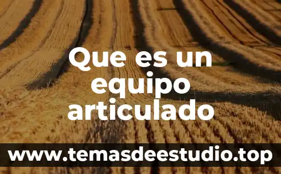 Que es un equipo articulado