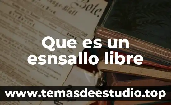 Que es un esnsallo libre