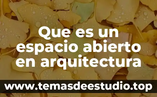 Para que es el tercer espacio emblema dragon nest 6 Que es un espacio abierto en arquitectura