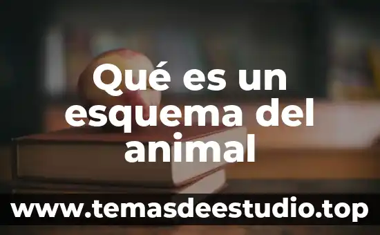 Que es drosophila y que animal es 8 Qué es un esquema del animal