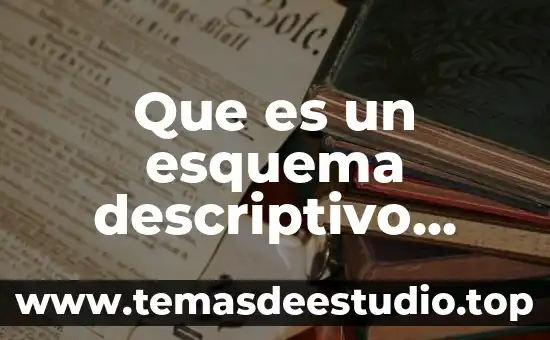 Que es el significado de ipn 3 Que es un esquema descriptivo significado