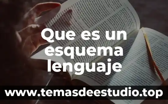 Que es un esquema lenguaje