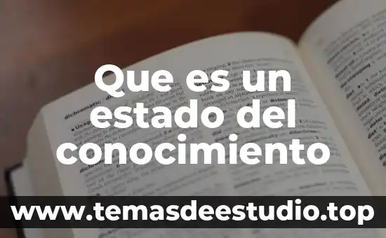 Que es un estado del conocimiento