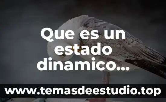 Estado tipo no integro que es 6 Que es un estado dinamico yahoo