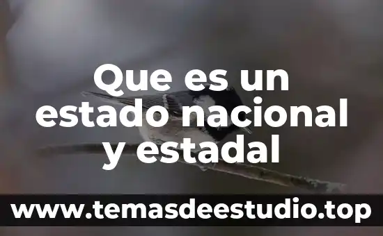 Que es la danza prehispanica nacional los voladores de papantla 4 Que es un estado nacional y estadal