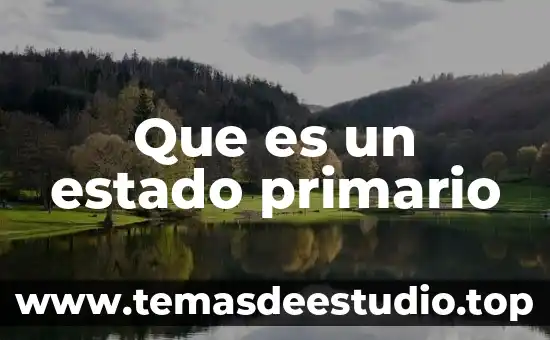 Que es un estado primario
