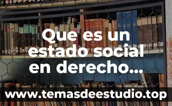 Que es un estado social en derecho penal
