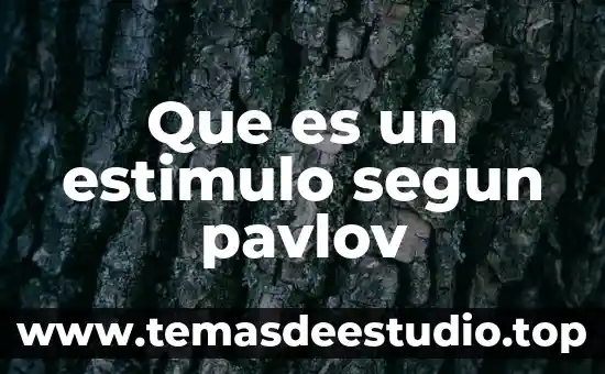 Qué es el estímulo personal 3 Que es un estimulo segun pavlov