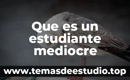 Abejorro de color negro que es inofensivo 4 Que es un estudiante mediocre