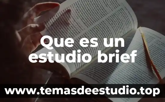 Que es un estudio brief