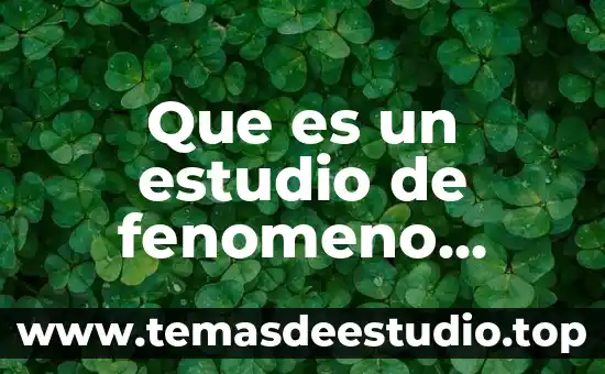 Que es un estudio de fenomeno teorico