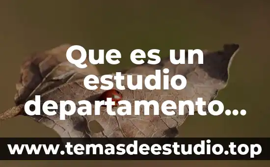 Que es ser ambientalista 5 Que es un estudio departamento etc