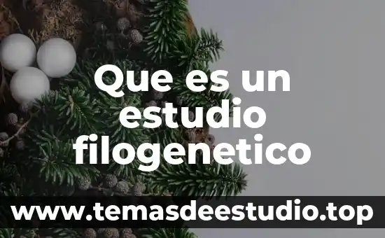 Qué es icono concepto 4 Que es un estudio filogenetico