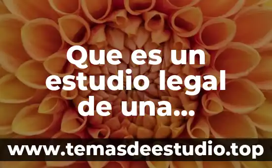Que es conocimiento en una empresa 7 Que es un estudio legal de una empresa