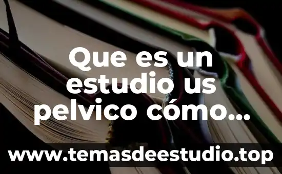 Estudio socioeconomico que es y ejemplos 7 Que es un estudio us pelvico cómo es